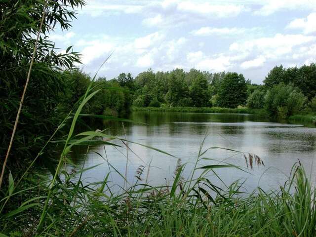 Фермерские дома Na Skraju Lasu Chodel-37